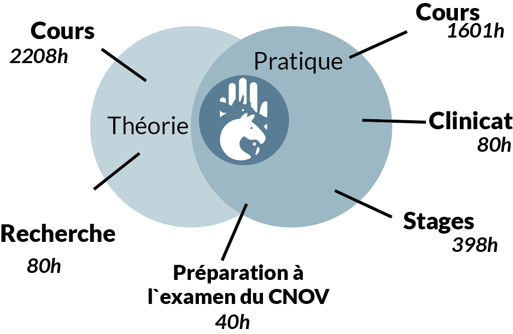 La formation