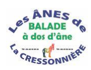 Balade à dos d'âne